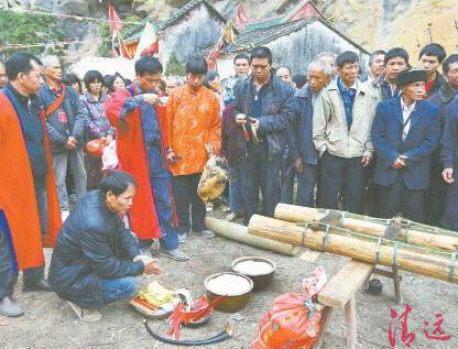 豎起刀桿之前,用活雞鴨來祭祀祈求平安。