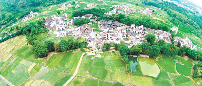 陽山縣太平鎮(zhèn)白花村中心小組,村中整合前的土地分布零散,由原來的78塊田整合成33塊田。