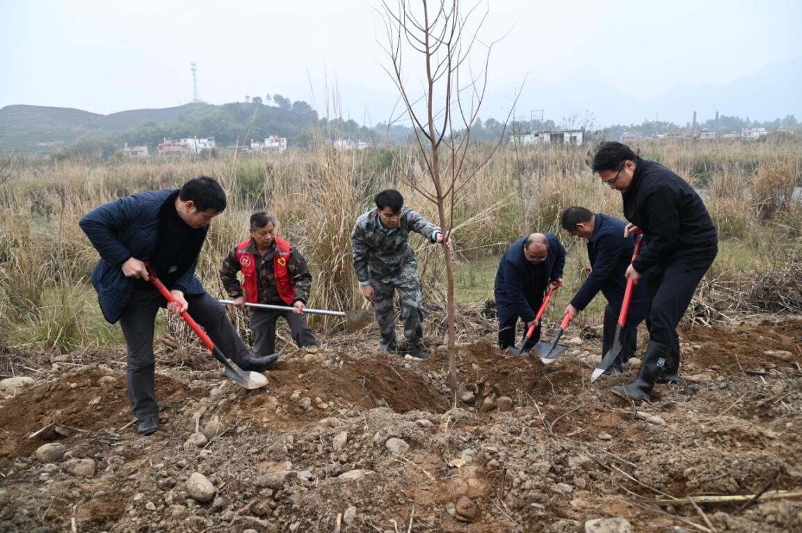 兵“林”城下 退役軍人走在綠美清遠(yuǎn)生態(tài)建設(shè)“第一方陣”，萬株新苗筑牢粵北生態(tài)屏障